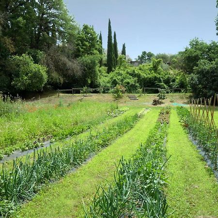 فيلا Cesanoفي Madonnella Agricola المظهر الخارجي الصورة