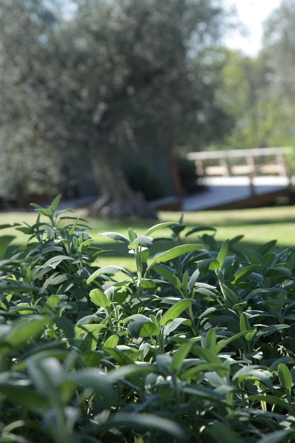 فيلا Cesanoفي Madonnella Agricola المظهر الخارجي الصورة