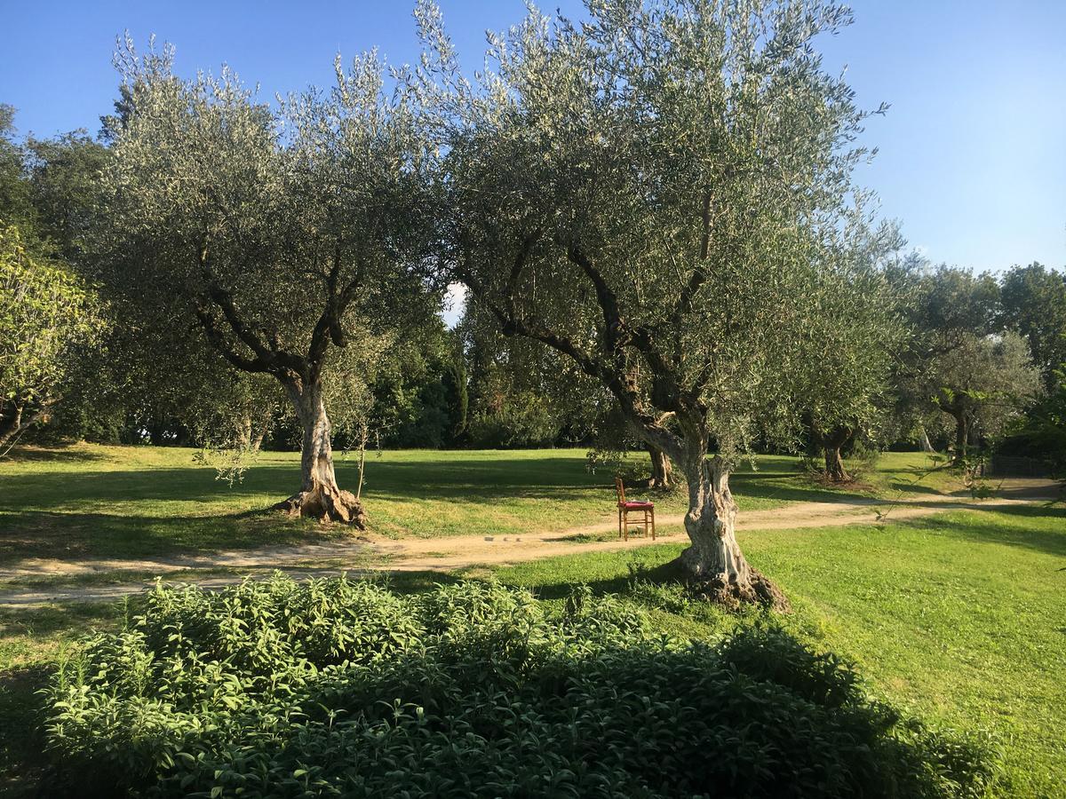 فيلا Cesanoفي Madonnella Agricola المظهر الخارجي الصورة