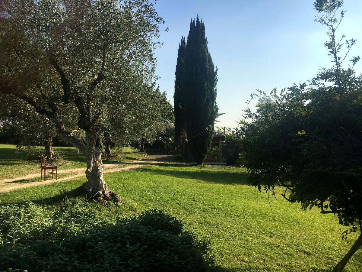 فيلا Cesanoفي Madonnella Agricola المظهر الخارجي الصورة