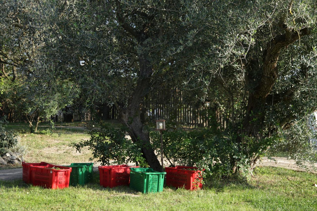 فيلا Cesanoفي Madonnella Agricola المظهر الخارجي الصورة
