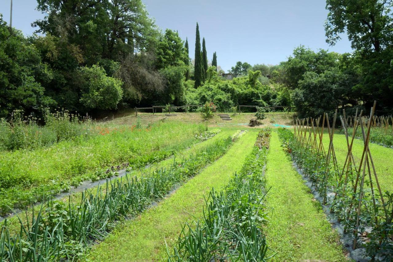 فيلا Cesanoفي Madonnella Agricola المظهر الخارجي الصورة